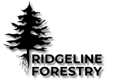 logoshadowtransparentcompressed